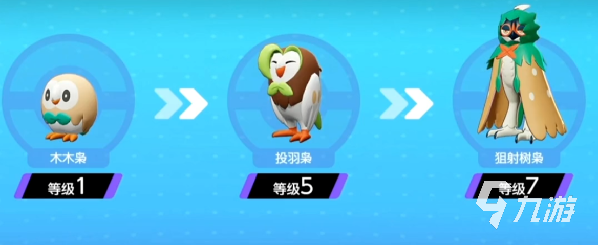 宝可梦大集结木木枭技能是什么 宝可梦大集结木木枭技能效果一览