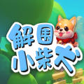 解围小柴犬