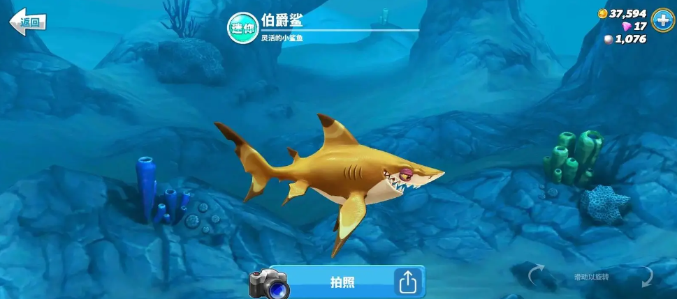 流行的鱼吃鱼游戏下载 免费的鱼吃鱼游戏推荐2024截图