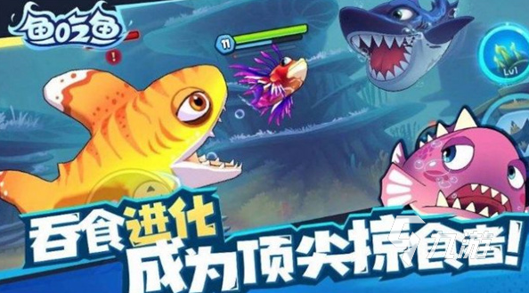 有趣的大魚(yú)吃小魚(yú)游戲推薦2024耐玩的大魚(yú)吃小魚(yú)游戲合集