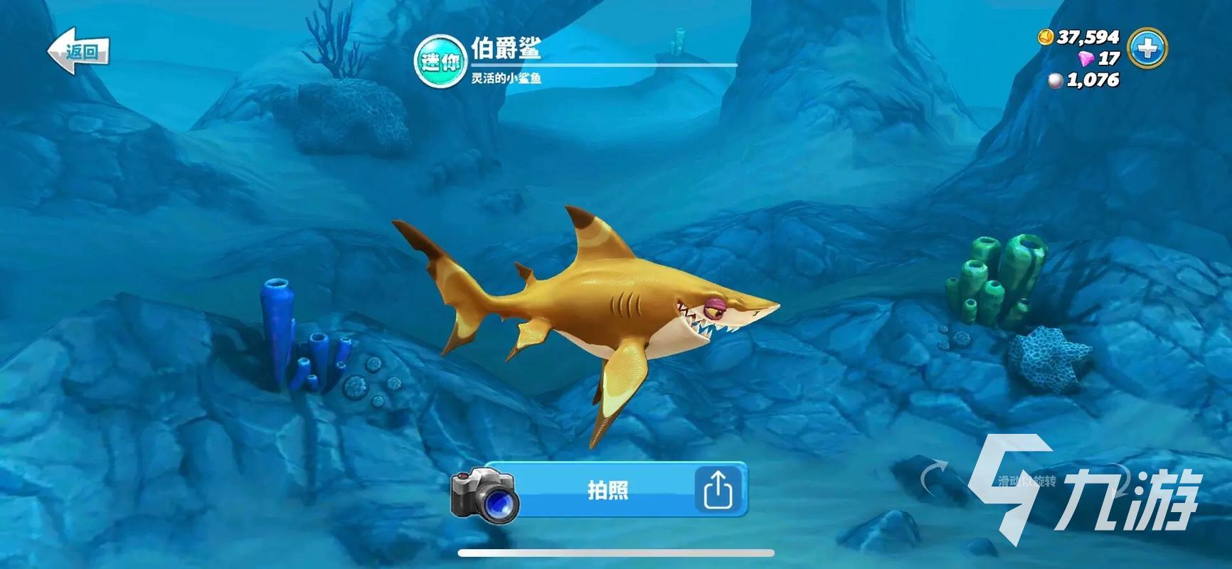 好玩的打鲨鱼游戏有哪些 有趣的打鲨鱼游戏推荐2024