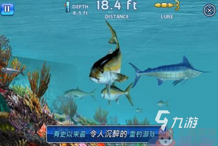 2025一款老游戲釣魚叫什么 受歡迎的釣魚游戲大全