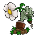 PVZ BD