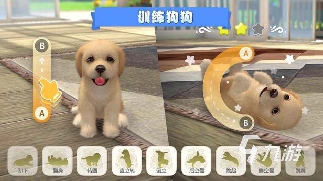 和狗玩的游戲有哪些2025 和小狗玩的游戲推薦