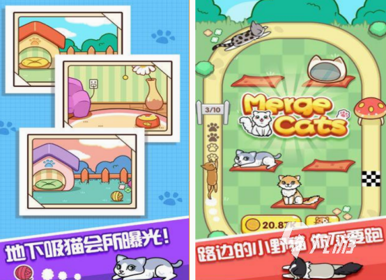 可以养猫的游戏有没有 2025有趣的养猫游戏盘点