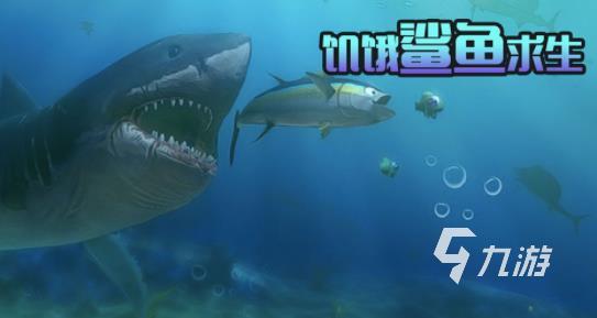 流行的大白鲨的游戏有哪些 2025热门的大白鲨的游戏合集