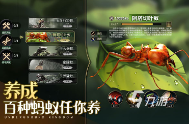 好玩的爆笑虫子游戏合集 2025有趣的爆笑虫子游戏大全