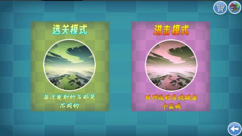 我的鸟随机截图
