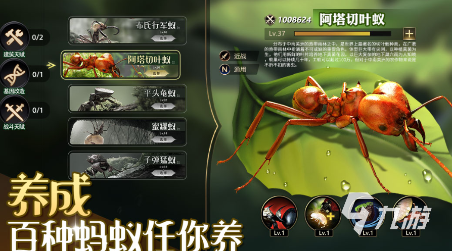 2025经典的战争策略游戏推荐 好玩的战争策略游戏分享