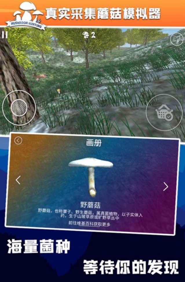 有意思的采蘑菇游戏盘点 2025好玩的采蘑菇手游推荐截图