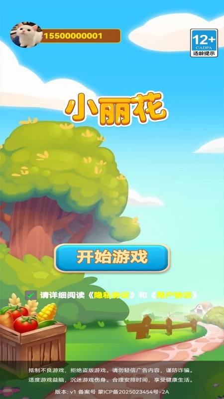 小丽花截图1