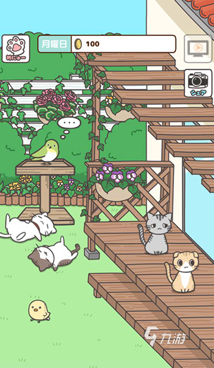 有趣的猫猫游戏app大全 2025流行的猫猫游戏app下载排行