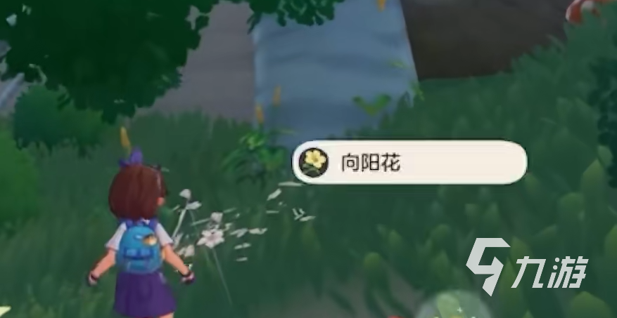 洛克王国世界前期攻略 洛克王国手游前期流程分享