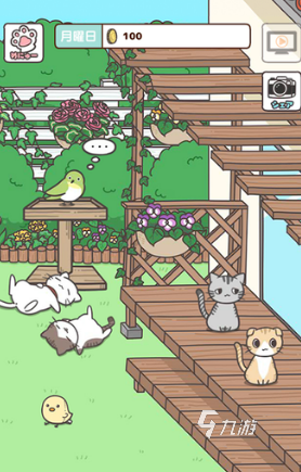 比较受欢迎的猫手游合集 2025好玩的猫手游大全