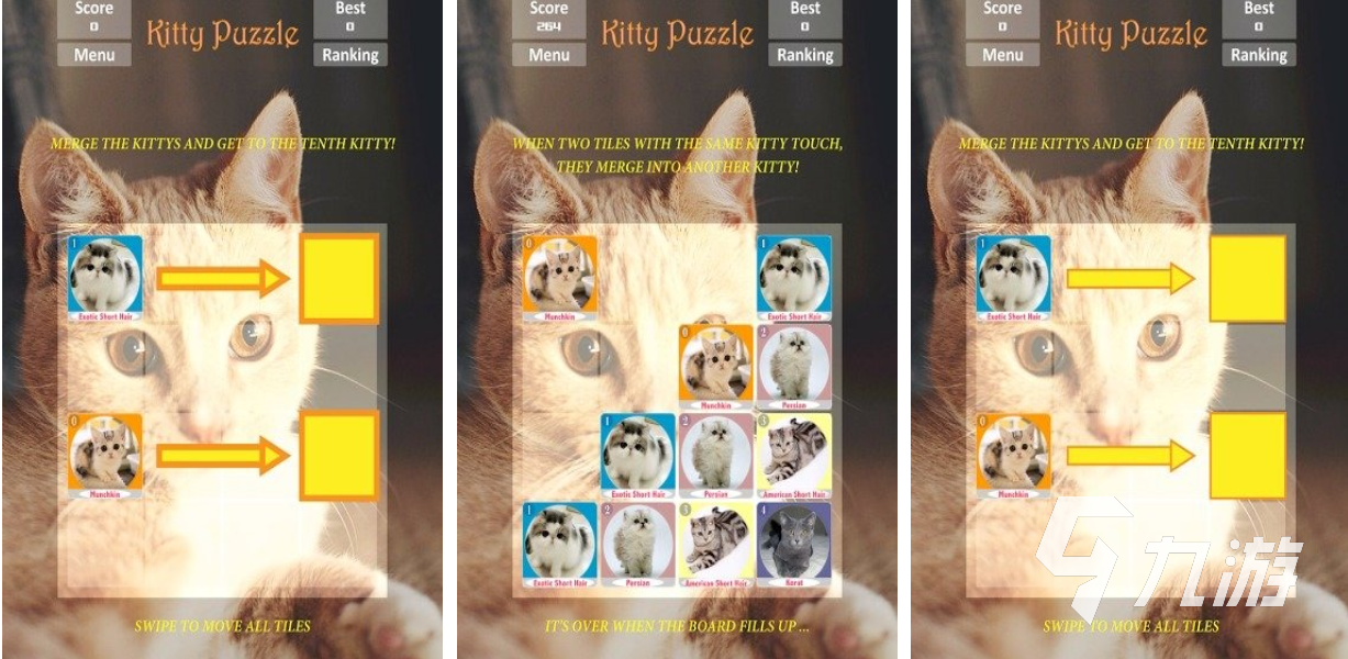 有趣的找猫猫游戏下载推荐 好玩的猫猫游戏合集2025