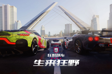 2020年最火的赛车游戏大全 有趣的赛车游戏下载推荐截图