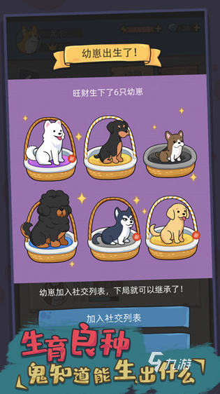 热门的小狗游戏有哪几个 2025经典的小狗手游怎么下载
