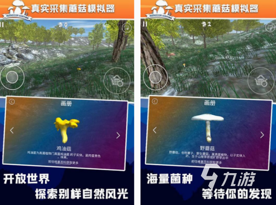 2025 采蘑菇游戏大盘点？,含必玩推荐
