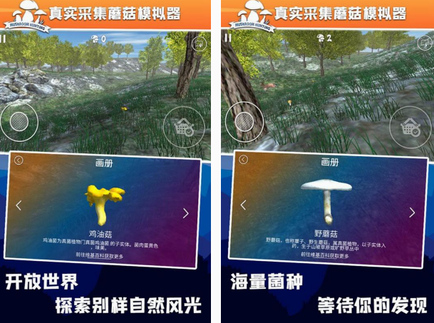 采蘑菇游戏有没有 2025必玩的采蘑菇游戏盘点截图
