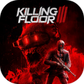 Killing Floor 3加速器