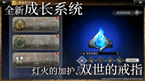 歧路旅人:大陆的霸者截图2
