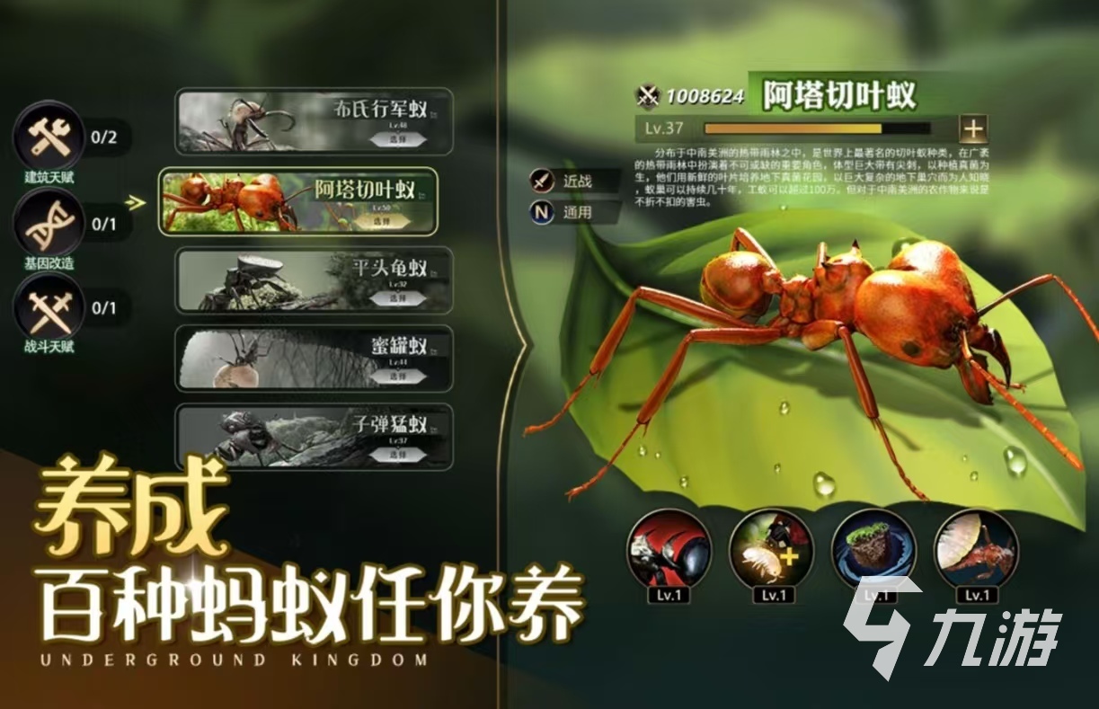 自己带兵打仗的手机游戏有什么 耐玩的带兵打仗的手游推荐2025