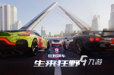 热门的手游拉力赛车游戏大全 2025耐玩的拉力赛车手游下载合集