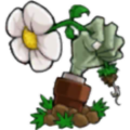 植物大战僵尸锤版加速器