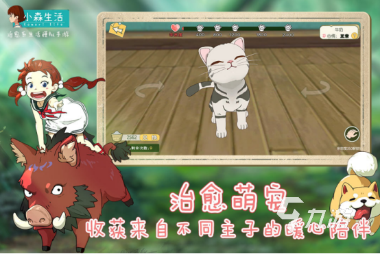 有趣的适合平民养老的网游有哪些 2025必玩适合平民养老的网游推荐 有趣的适合平民养老的网游有哪些 2025必玩适合平民养老的网游推荐