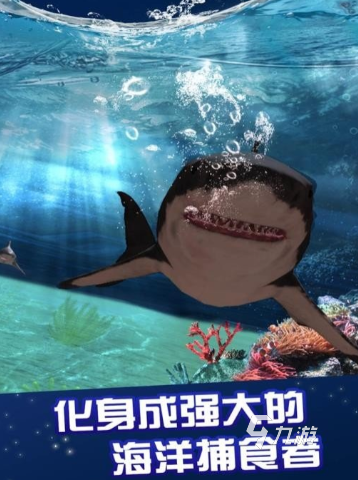 类似史前鲨鱼游戏有哪些 2025好玩的鲨鱼游戏合集