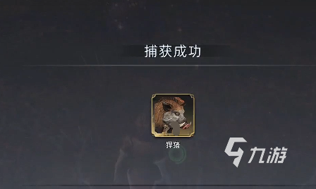 荒原曙光猪坐骑怎么抓 荒原曙光猪坐骑抓捕攻略