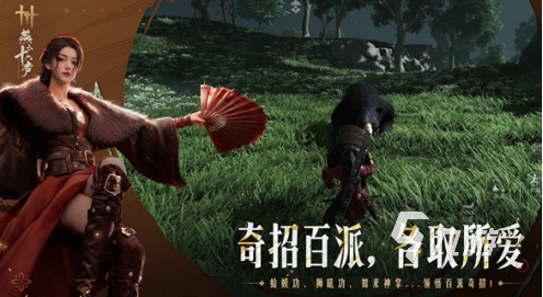 好玩的没有广告的游戏大全 2025耐玩的无广告游戏合集