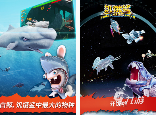大魚游戲下載推薦 2025經(jīng)典的大魚游戲排行榜