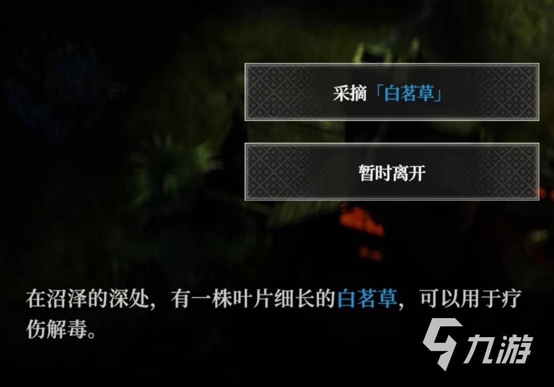 地下城堡4白茗草在哪 地下城堡4白茗草位置详解