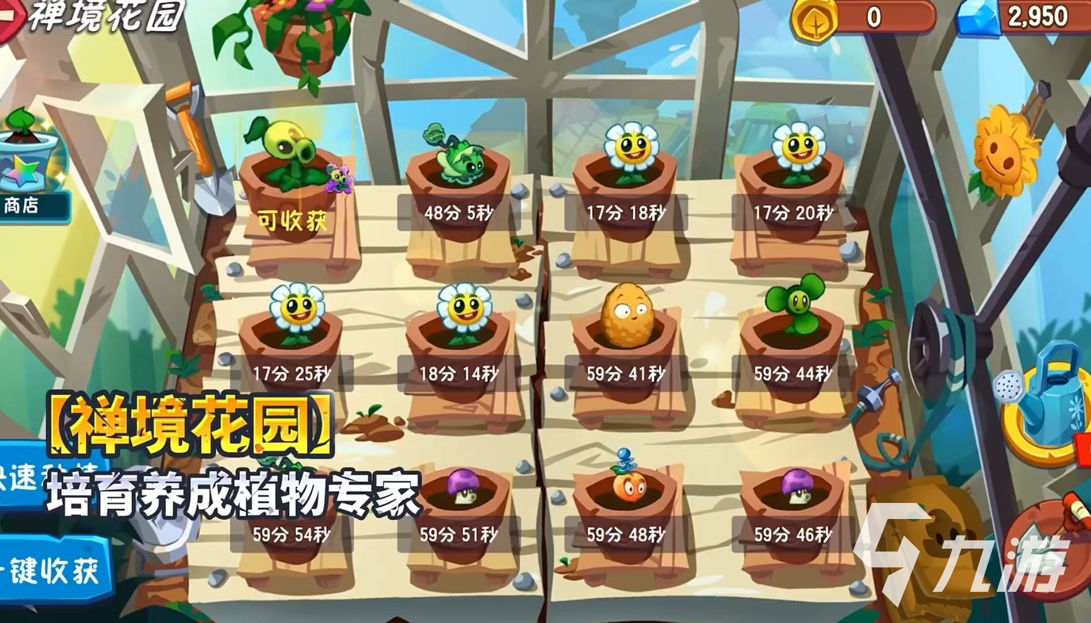 植物大战僵尸3和2哪个好玩 植物大战僵尸3和2玩法对比分析
