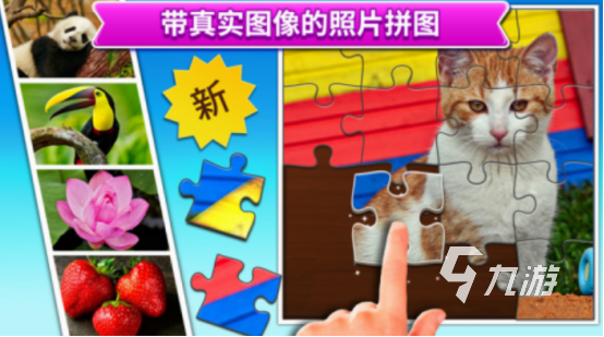 兒童益智游戲腦力訓(xùn)練都有哪些 2025必玩的兒童益智游戲盤點(diǎn)