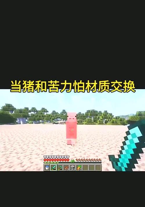 我的世界中豬的馴化方法是什么？需要哪些步驟？