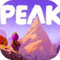 PEAK加速器
