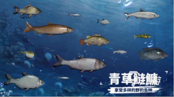 最火的捕鱼游戏排行 热门的钓鱼游戏下载推荐2025