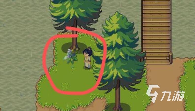 江城创业记野琴花采集方法 江城创业记野琴花什么方法获取