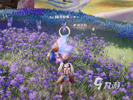 伊莫鸢尾花海宠物有哪些 伊莫手游鸢尾花海宠物介绍
