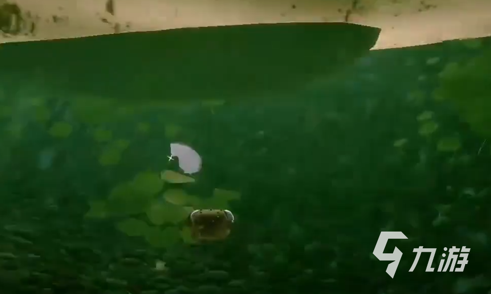 我是小鱼儿面包位置介绍 我是小鱼儿面包位置攻略