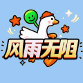 风雨无阻加速器