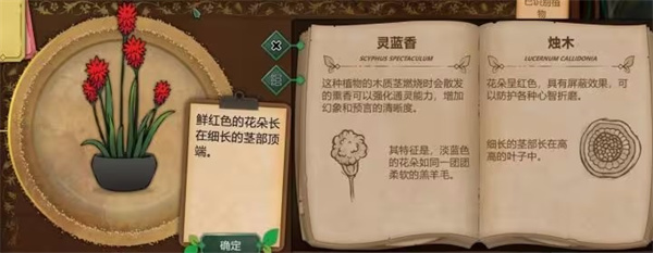 奇异园艺全结局攻略