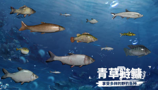 有一个钓鱼龙的游戏哪里下载2025受欢迎的钓鱼手游盘点
