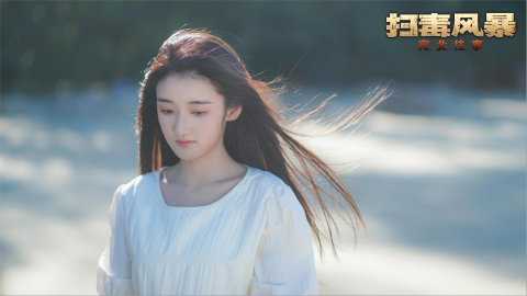扫毒风暴:宛北往事截图3