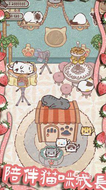 优质的养猫游戏有哪些2025 可以养猫的游戏一览