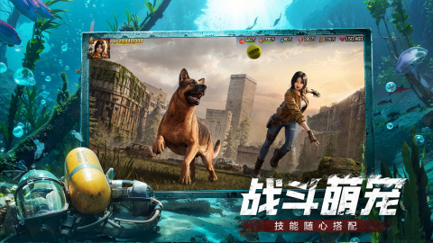 荒野迷城截图3