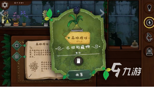 受欢迎的高级游戏有哪些 2025高人气的高级游戏合集