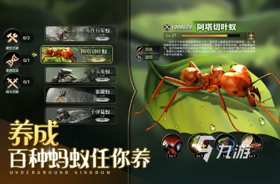 流行的动物世界游戏大全 2025必玩的动物世界手游下载合集